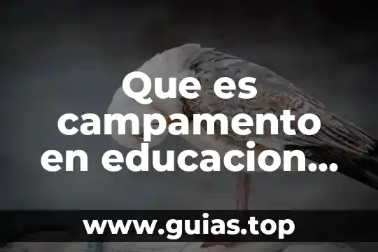 Que es la verdad fisica 3 Que es campamento en educacion fisica
