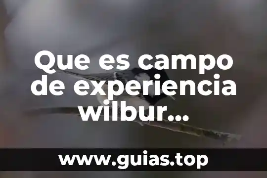 Que es una flor de campo 7 Que es campo de experiencia wilbur schramm