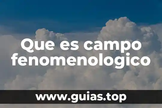 Que es una flor de campo 3 Que es campo fenomenologico