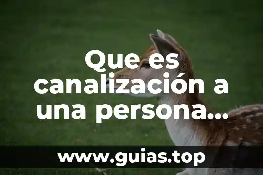 Qué es canalización en industria 3 Que es canalización a una persona por un trabajador social