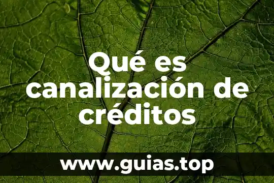 Qué es canalización en industria 4 Qué es canalización de créditos