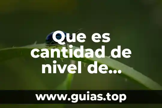 Que es la concepto de cantidad 4 Que es cantidad de nivel de energia