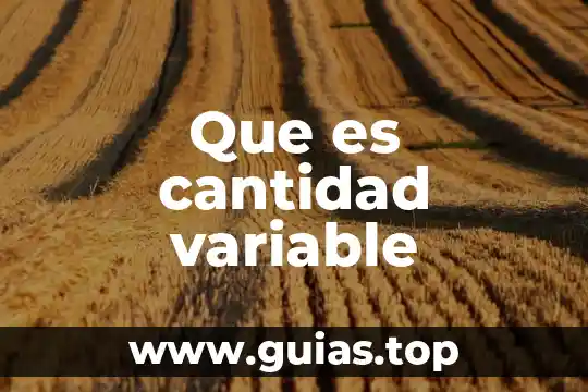 Que es la concepto de cantidad 5 Que es cantidad variable