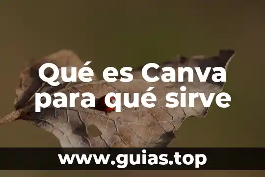 Que es una insignia y para que sirve 5 Qué es Canva para qué sirve