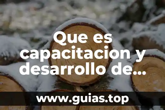 Que es el ser en la ontologia 6 Que es capacitacion y desarrollo de los empleados