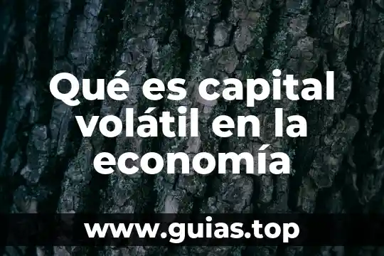 Que es un soluto volatil ejemplos 3 Qué es capital volátil en la economía