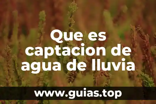 Que es agua deaereada 3 Que es captacion de agua de lluvia