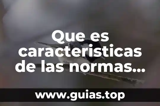 Que es derecho internacional juridicas unam 4 Que es caracteristicas de las normas juridicas