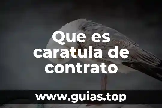 Caratula de datos bancarios que es 5 Que es caratula de contrato