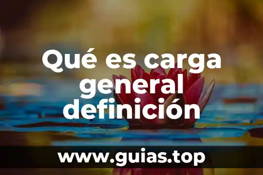 Que es el vulgo definicion 7 Qué es carga general definición