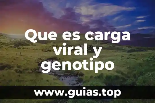 Que es una carga de tesado 7 Que es carga viral y genotipo