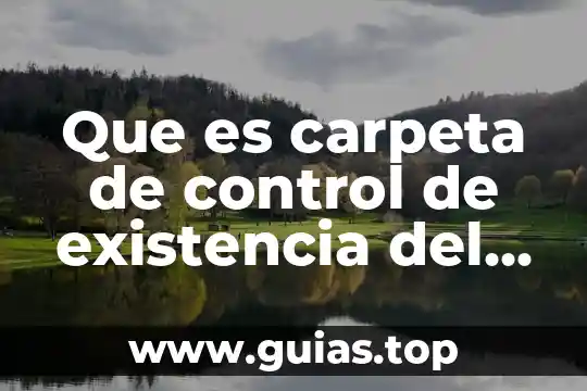 Que es un almacen de datos en estrella simple 5 Que es carpeta de control de existencia del almacén
