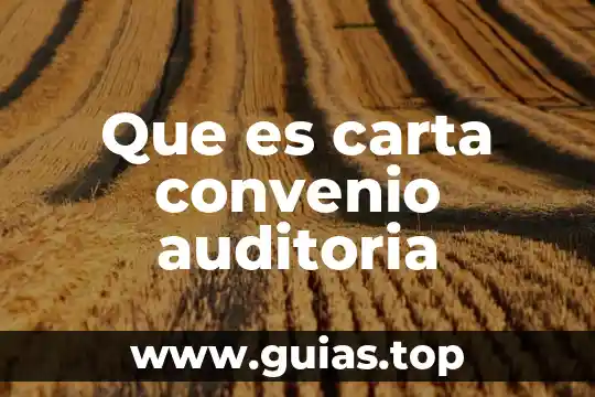 Que es un convenio de servicios profesionales 6 Que es carta convenio auditoria