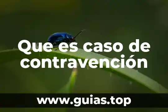 Caso de estudio que es 3 Que es caso de contravenci贸n
