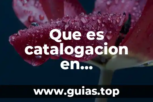 Qué es el bluetooth definición 4 Que es catalogacion en administracion