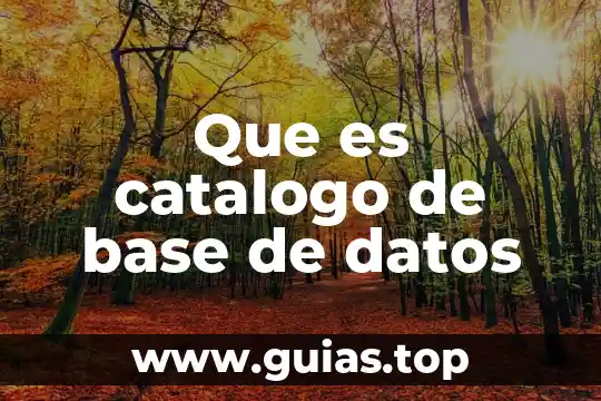 Adhesive base coat color club para qué es 3 Que es catalogo de base de datos