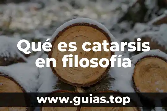 Que es una declamación resumen 8 Qué es catarsis en filosofía