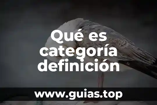 Qué es una categoría económica slideshare 3 Qué es categoría definición
