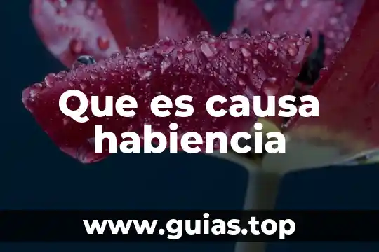 Que es lo que causa la infeccion urinaria en niños 5 Que es causa habiencia