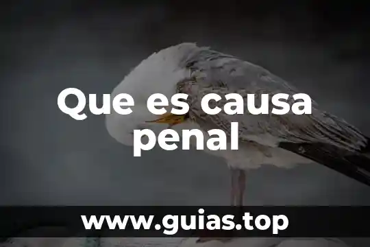 Que es la causa de la malaria 4 Que es causa penal