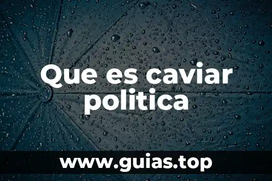 Qué es un buho y sus características 6 Que es caviar politica