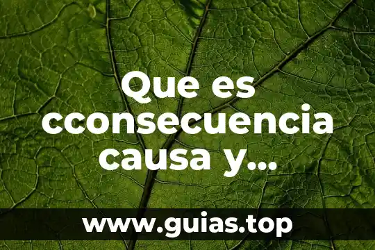 Que es lo que causa la infeccion urinaria en niños 6 Que es cconsecuencia causa y partcipacion