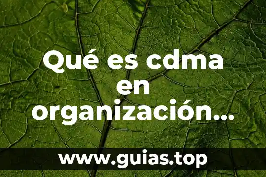 Dominio de una organización que es 3 Qué es cdma en organización de computadoras