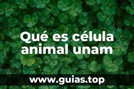 Que es un derechos animal 6 Qué es célula animal unam