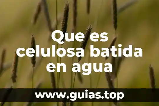 Que es la celulosa y como esta formada 4 Que es celulosa batida en agua