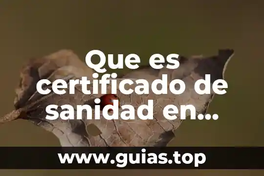 Que es planta exterior que hace 5 Que es certificado de sanidad en comercio exterior