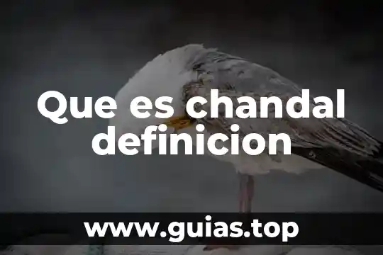 Qué es carga general definición 8 Que es chandal definicion