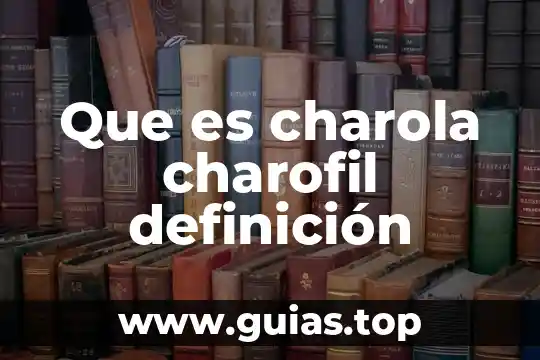 Que es un canon de belleza definicion 3 Que es charola charofil definición