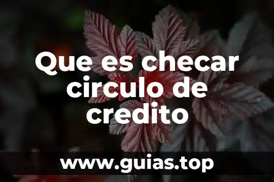 Que es un asesor de crédito 5 Que es checar circulo de credito