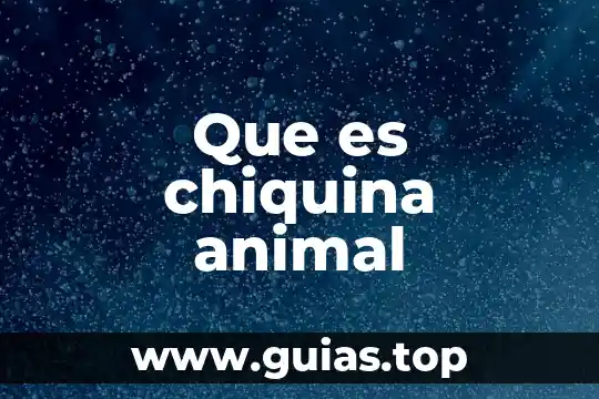 Que es inteligencia animal 7 Que es chiquina animal