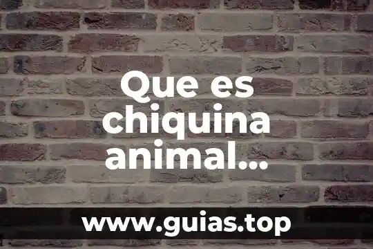 Que es animal zoofilia 6 Que es chiquina animal alimentación