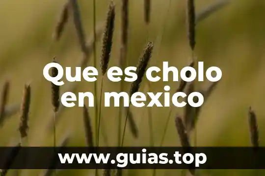 Que es un grupo indijenas en mexico 5 Que es cholo en mexico