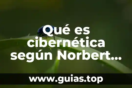 Que es ser maestro normalista 7 Qué es cibernética según Norbert Wiener