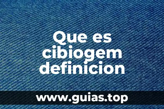 Que es ideograma definicion 6 Que es cibiogem definicion