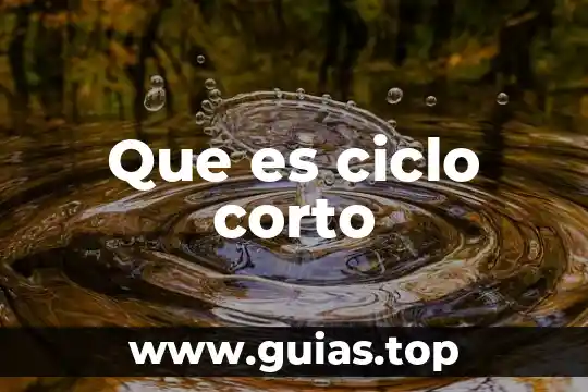Que es el got en analisis de sangre 6 Que es ciclo corto