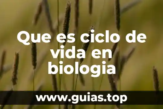 Análisis de qué es la vida filosofía 4 Que es ciclo de vida en biologia