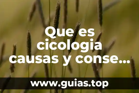 Causas psicologicas que es 3 Que es cicologia causas y conse consecuencias