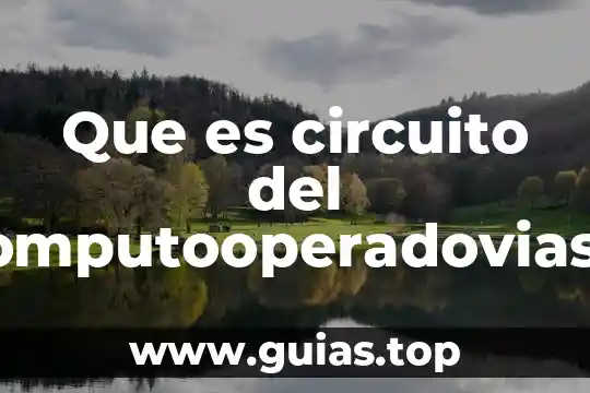 Qué es un número con signo 7 Que es circuito del computooperadovias redes