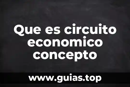 Que es circuito integrado en una computadora 3 Que es circuito economico concepto