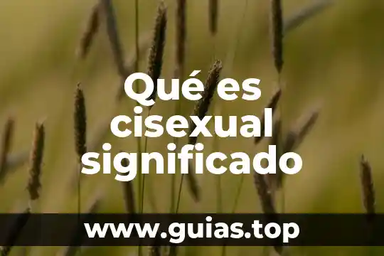 Hostil que es significado y concepto 4 Qué es cisexual significado