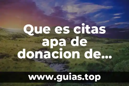 Que es el apa en etica 5 Que es citas apa de donacion de organo
