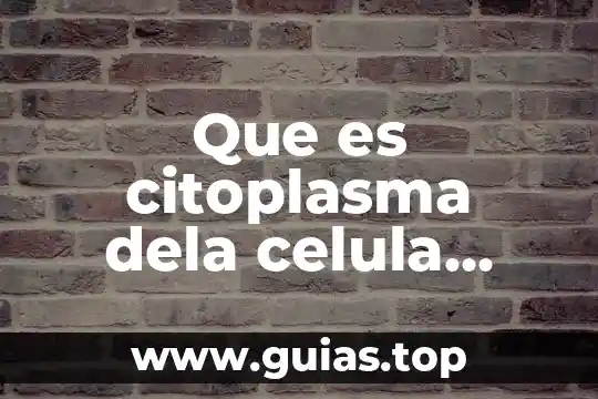Tipos de sistemas de reservaciones que es 7 Que es citoplasma dela celula vegetal