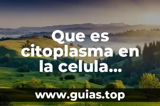 Que es la celula eritrocito 8 Que es citoplasma en la celula animal