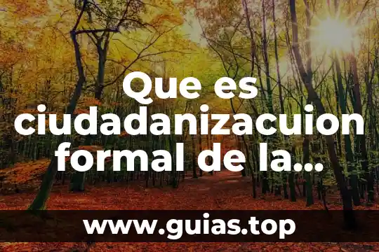 Que es el principio de autoridad en un texto argumentativo 7 Que es ciudadanizacuion formal de la autoridad electoral