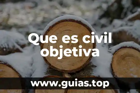 Que es el perjuicio en derecho civil 5 Que es civil objetiva