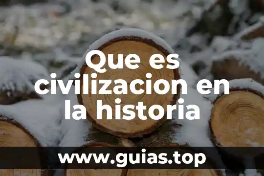 Que es la historia de la ciudad 4 Que es civilizacion en la historia